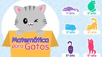 Matemática para Gatos