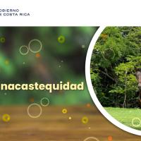 24 de julio, Día de la Guanacastequidad 