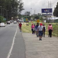 Peregrinos caminan hacia la Basílica de Los Ángeles. Cortesía MOPT 