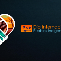 9 de agosto, internacionalmente, se conmemora el Día de los Pueblos Indígenas