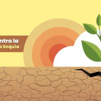 17 de junio, Día Mundial contra la Desertificación y la Sequía.