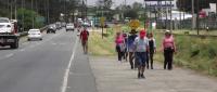 Peregrinos caminan hacia la Basílica de Los Ángeles. Cortesía MOPT 