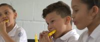 Nuevo reglamento del PANEA fortalece alimentación estudiantil