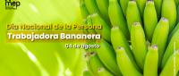 racimo de bananos verdes. Día Nacional de la persona trabajadora bananera, 04 de