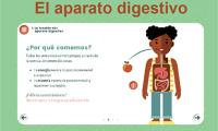 Diagrama del aparato digestivo