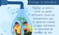 Proteger la naturaleza: Plantar un árbol o crear un jardín infiltrante (evita las inundaciones que se generan cuando el agua sobrepasa la capacidad de drenaje de una ciudad