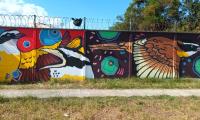 El Colegio Técnico Profesional de Guararí, en Heredia tiene hermosos murales que rodean la institución y evocan aspectos representativos de la comunidad como sus 23 especies de flora, fauna y espacios de paz.