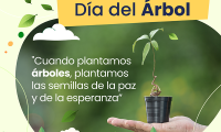 15 de junio, Día del Árbol. Frase: "Cuando plantamos árboles, plantamos las semillas de la paz y de la esperanza”.