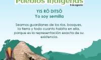 Efeméride: 9 de agosto, Día Internacional de los Pueblos Indígenas   Frase:   YIS RÖ DITSÖ Yo soy semilla   Seamos guardianes de los ríos, bosques, la tierra y todo cuanto habita en ella, porque es la representación exacta de su existencia.