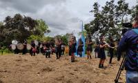 Batalla de Sardinal