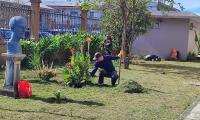 Estudiantes, docentes, padres y comunidad se unieron para embellecer el Liceo de Costa Rica 