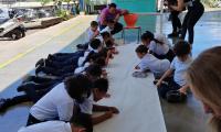  Escuela Ciudadelas de Pavas se une al escuadrón Anti-Dengue