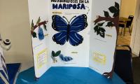 Feria Científica Preescolar