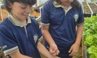 Niños de Escuela Japón encuentran en huerta escolar un aula a cielo abierto