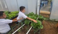 Niños de Escuela Japón encuentran en huerta escolar un aula a cielo abierto