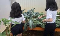 Niños de Escuela Japón encuentran en huerta escolar un aula a cielo abierto