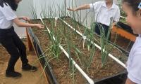 Niños de Escuela Japón encuentran en huerta escolar un aula a cielo abierto