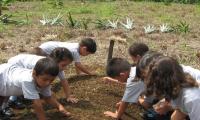 Estudiantes forman circulo en parte del terreno de la escuela para sembrar 