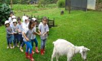 Grupo de estudiantes de primaria con una oveja al aire libre 