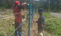 Dos jóvenes trabajan en el cerramiento de las dos hectáreas