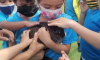 grupo de niños con mascarilla tocan a un conejito